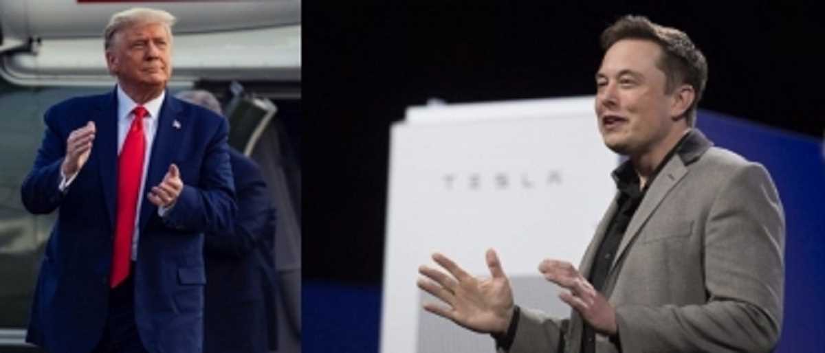 मस्क ने ट्रंप की निंदा करते हुए कहा, संविधान किसी भी राष्ट्रपति से बड़ा