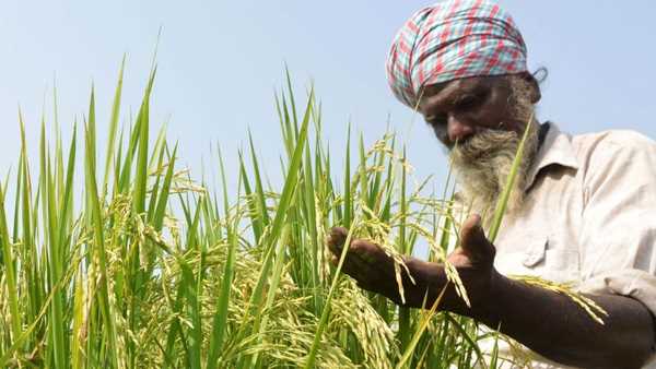 अगले 25 वर्षो में 50 फीसदी खेतों में सटीक खेती होने लगेगी : सरकार