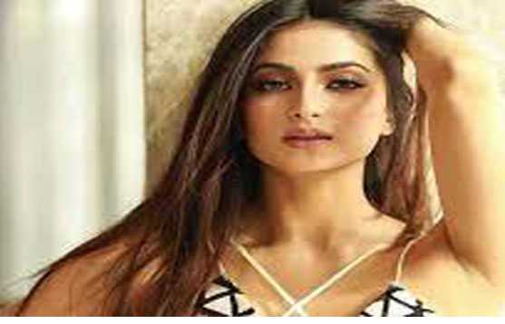 सलमान खान की फिल्म भाईजान में काम करेंगी पलक तिवारी सलमान खान की फिल्म भाईजान में काम करेंगी पलक तिवारी