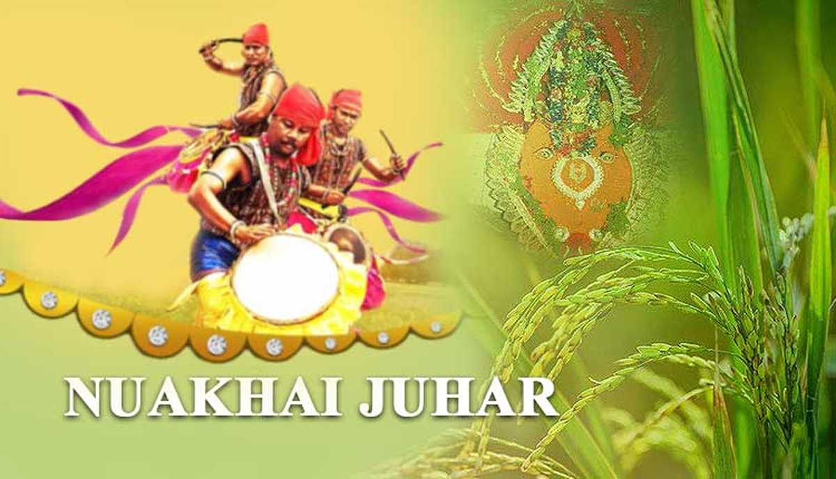 ओडिशा में मनाया गया फसल उत्सव नुआखाई ओडिशा में मनाया गया फसल उत्सव नुआखाई