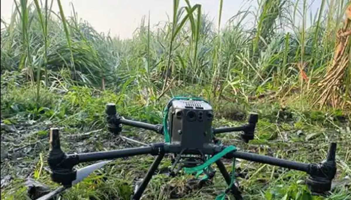 पंजाब की सीमा पर ना-पाक हरकत नाकाम, बीएसएफ ने मार गिराया पाकिस्तानी ड्रोन पंजाब की सीमा पर ना-पाक हरकत नाकाम, बीएसएफ ने मार गिराया पाकिस्तानी ड्रोन