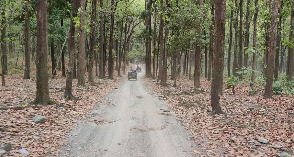 कॉर्बेट: पीएम मोदी के ड्रीम प्रोजेक्ट के लिए कटवा दिए गए हजारों पेड़ कॉर्बेट: पीएम मोदी के ड्रीम प्रोजेक्ट के लिए कटवा दिए गए हजारों पेड़