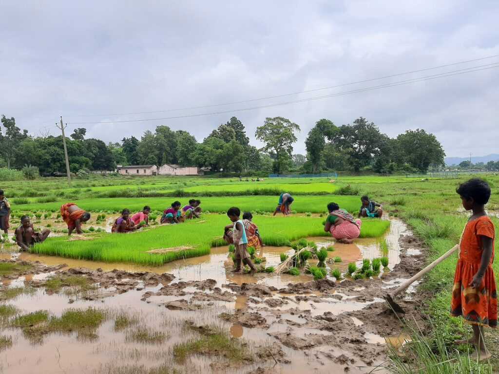 आत्मनिर्भर खेती की पहल