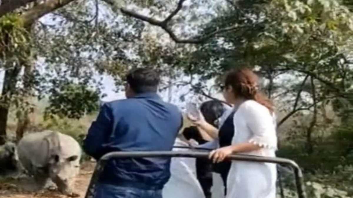 उत्तर बंगाल में गैंडों के हमले से सात पर्यटक घायल, दो की हालत गंभीर