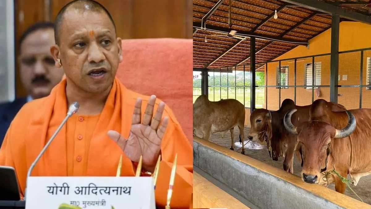 उत्तर प्रदेश में कब्जा मुक्त हुई 27 हजार हेक्टेयर से अधिक गोचर भूमि उत्तर प्रदेश में कब्जा मुक्त हुई 27 हजार हेक्टेयर से अधिक गोचर भूमि