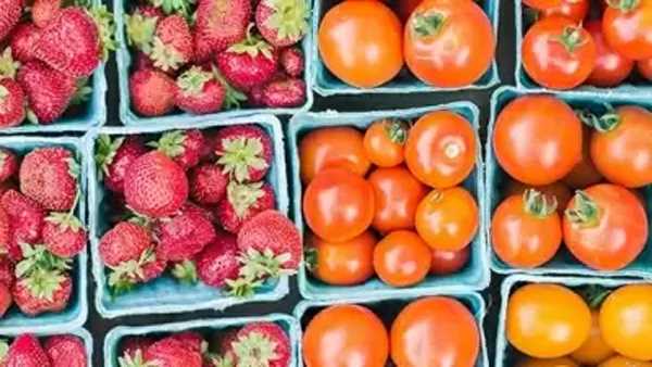 न्यूजीलैंड का वार्षिक खाद्य मूल्य दशक में सबसे अधिक बढ़ा न्यूजीलैंड का वार्षिक खाद्य मूल्य दशक में सबसे अधिक बढ़ा