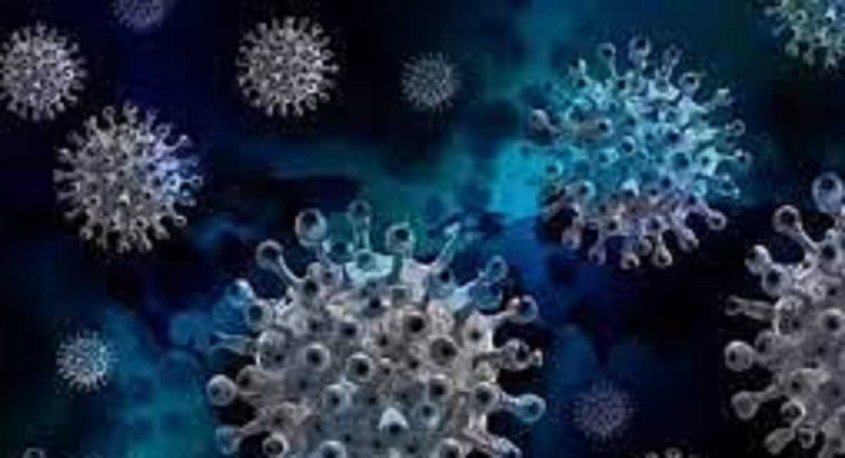 देश में कोरोना संक्रमण से 15 मरीजों की मौत देश में कोरोना संक्रमण से 15 मरीजों की मौत