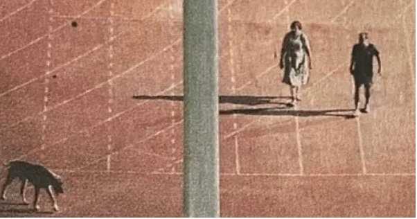 कुत्ता टहलाने वाले आईएएस के अरुणाचल-लद्दाख तबादले पर अब उठे सवाल कुत्ता टहलाने वाले आईएएस के अरुणाचल-लद्दाख तबादले पर अब उठे सवाल