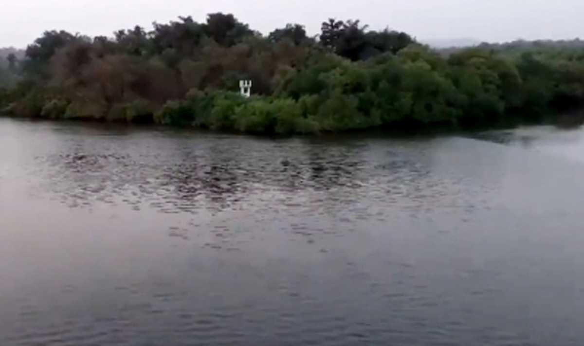 गोवा की नदी का खारापन विद्युत कंडक्टरों को प्रभावित करता है, राज्य का दौरा करेगी केंद्रीय टीम