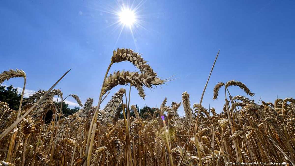 यूरोप में गर्मी से करीब 61,000 लोगों की जान गईः रिपोर्ट