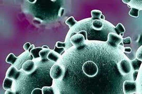 उज्जैन जिले में मिले कोरोना के 34 नए मामले उज्जैन जिले में मिले कोरोना के 34 नए मामले