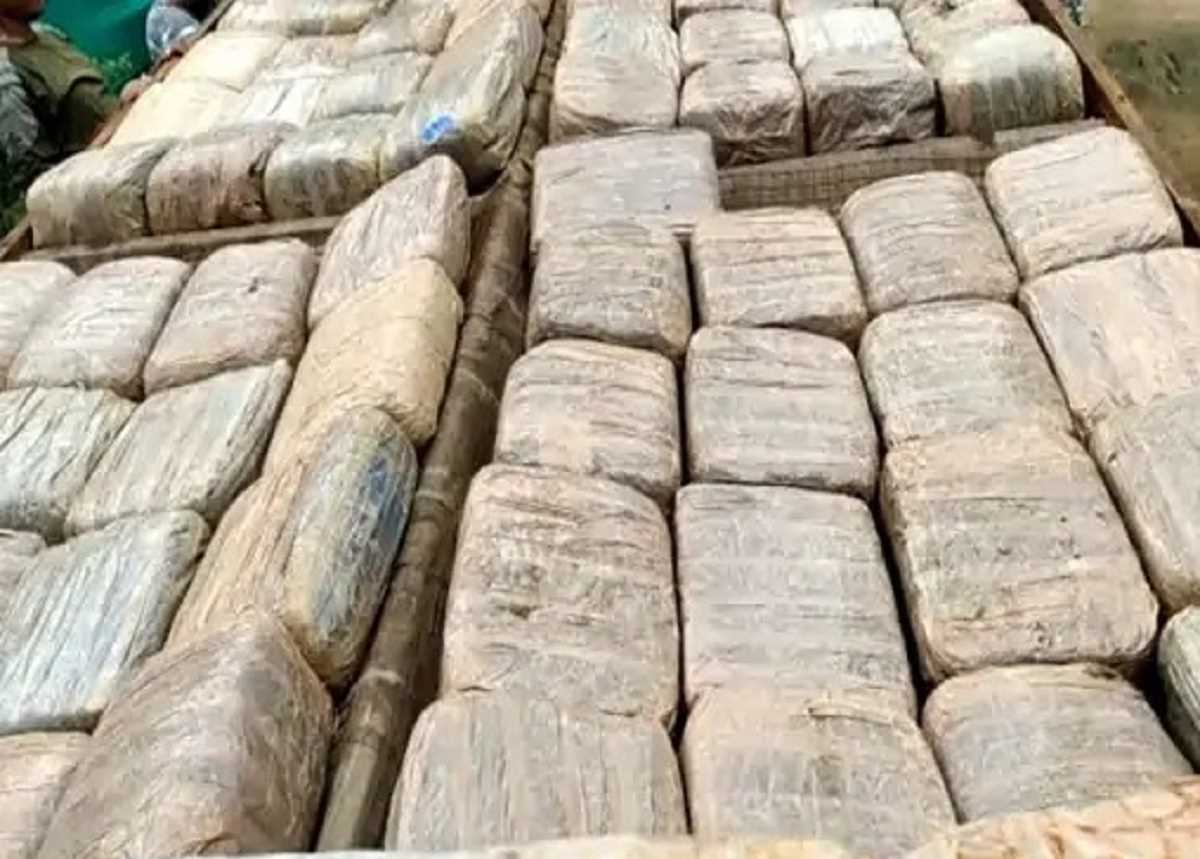 एनसीबी ने इस साल 11 हजार किलोग्राम से ज्यादा नशीले पदार्थ जब्त किए