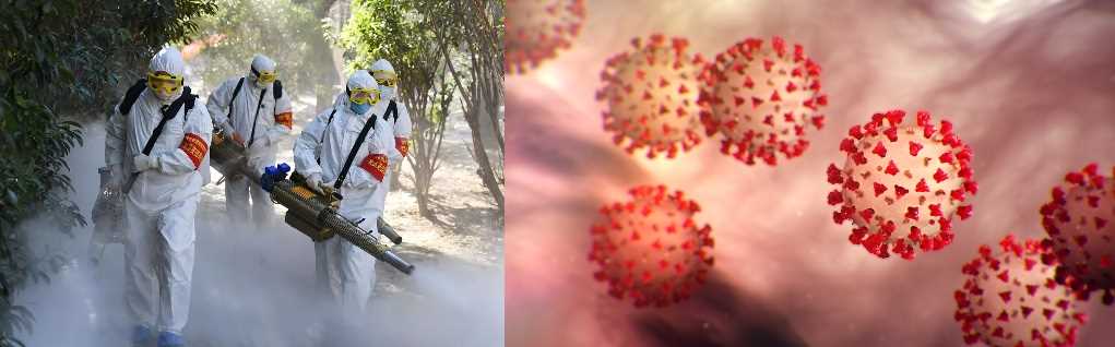 कोरोना की चपेट में पूरा विश्व,  संक्रमितों की संख्या 6.22 करोड़ के पार