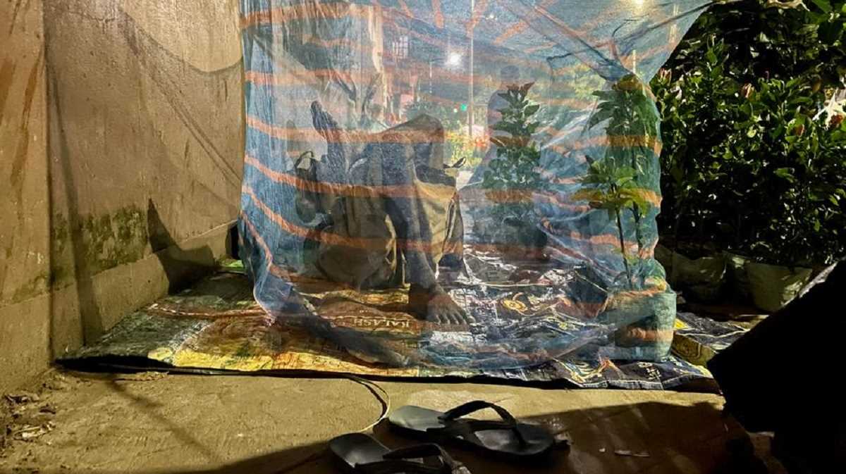 मीठा खून नहीं, आपकी गंध देती है मच्छरों को न्योता