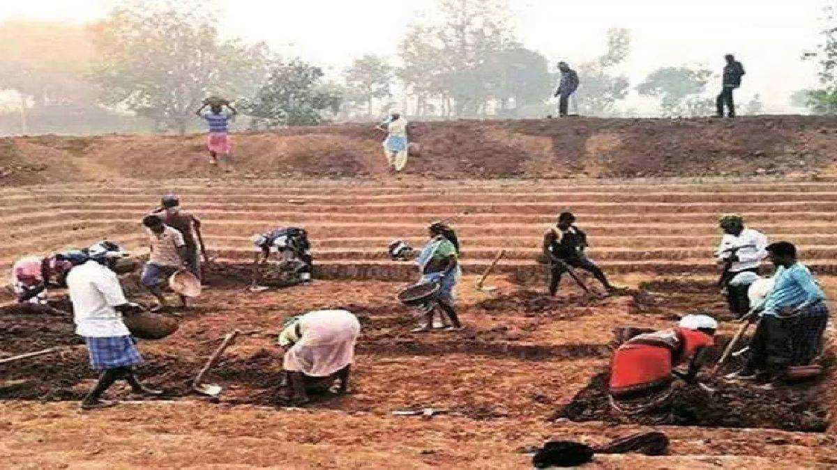बजट 2023-24 : मनरेगा आवंटन में 30 फीसदी की कटौती
