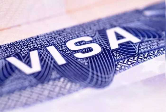 भारत ने 111 अफगान सिखों और हिंदुओं को दिया वीजा भारत ने 111 अफगान सिखों और हिंदुओं को दिया वीजा