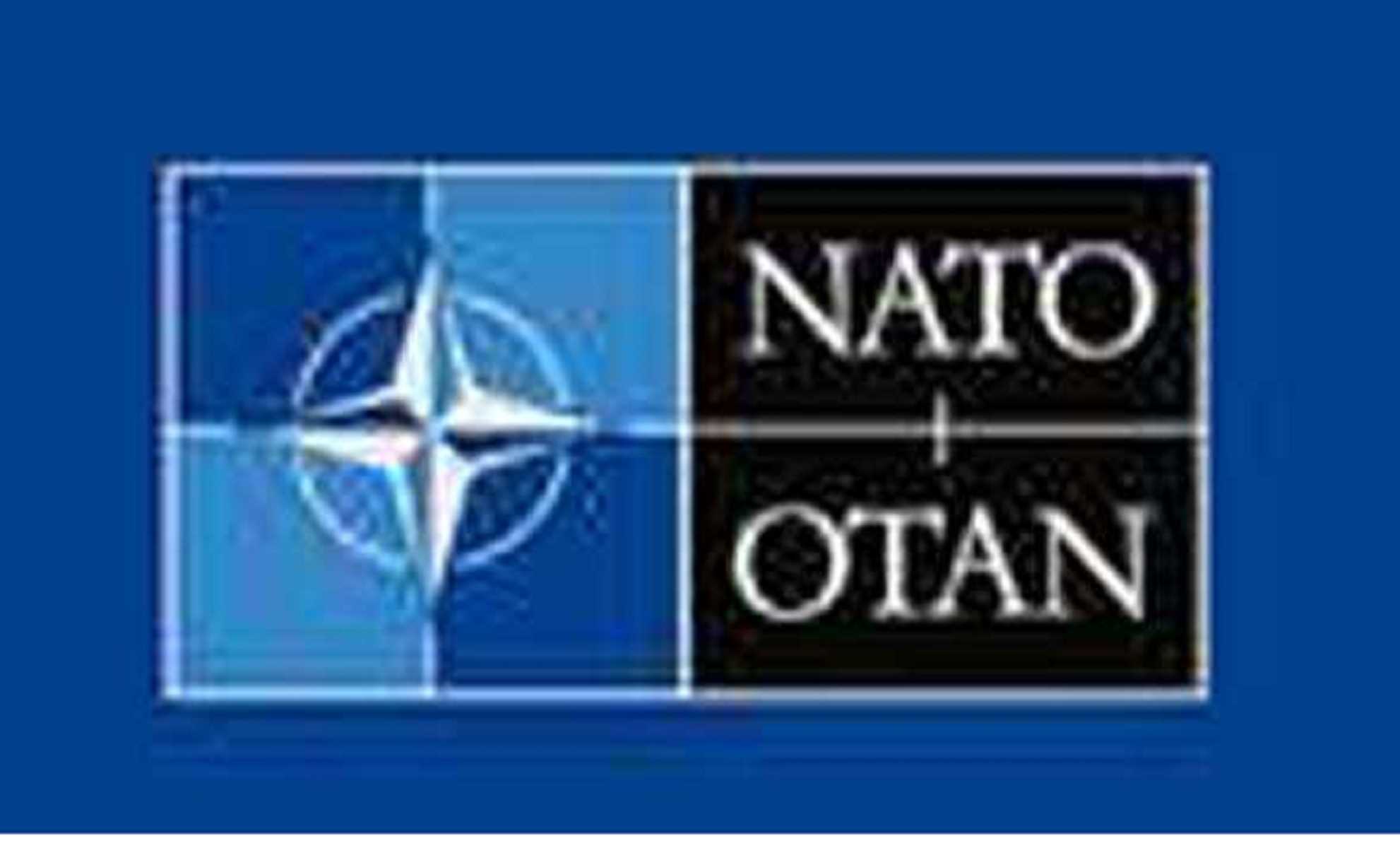 Cyber attack: नाटो की वेबसाइट पर हुआ साइबर अटैक