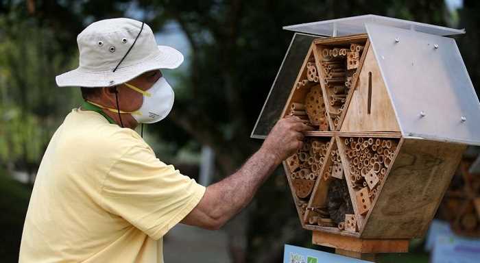 ऑस्ट्रेलिया में मधुमक्खियों पर लगाया गया लॉकडाउन