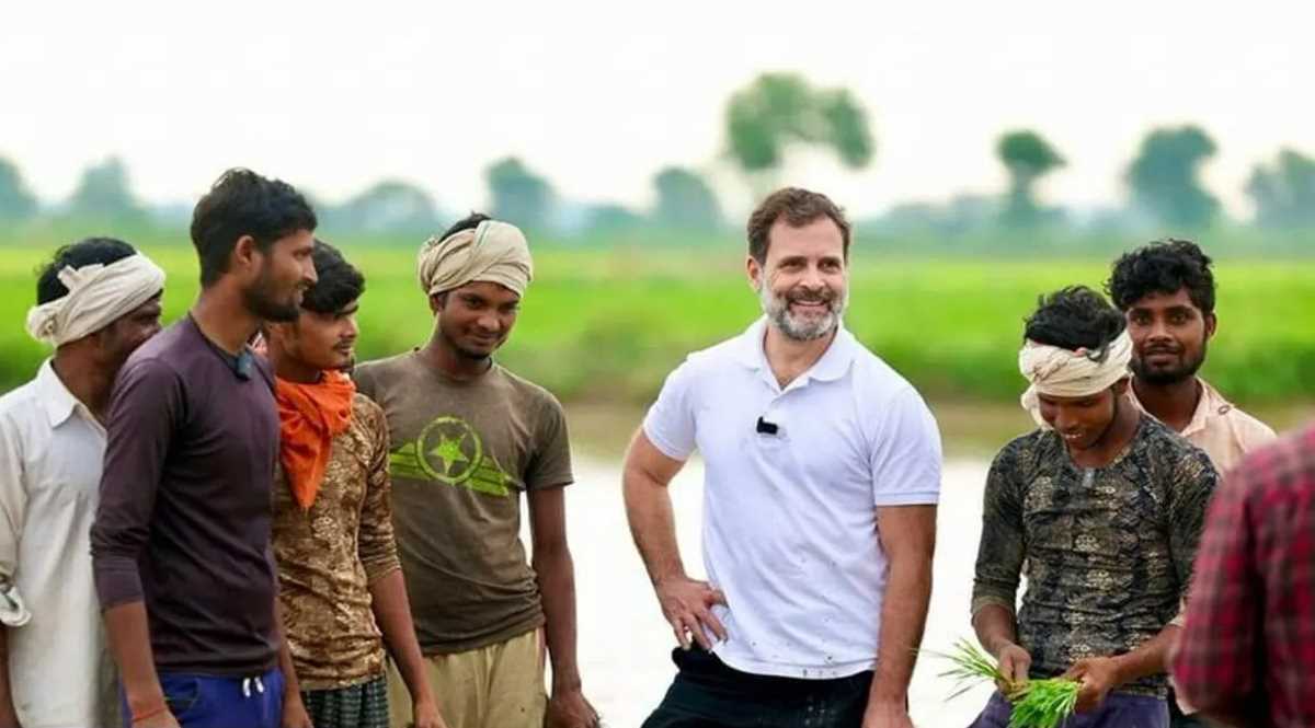 राहुल की धान रोपाई और बिजूके राहुल की धान रोपाई और बिजूके