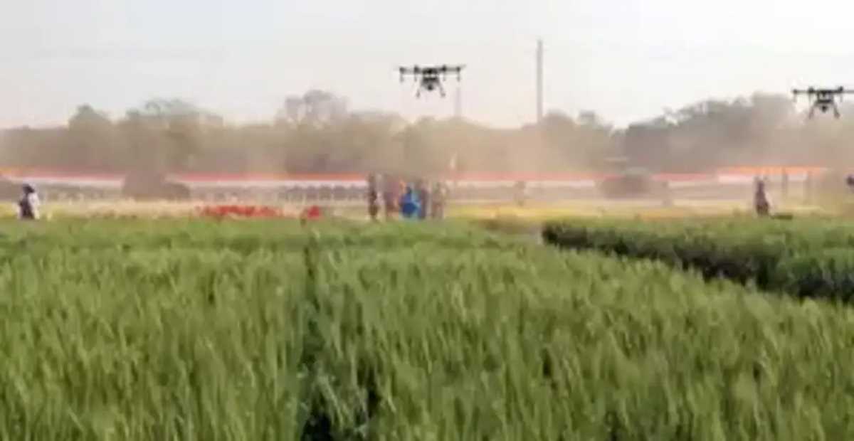 हाईटेक बने यूपी के किसान, राजधानी समेत 6 जिलों में उच्च क्षमता वाले ड्रोन से शुरू हुई फसलों की सुरक्षा