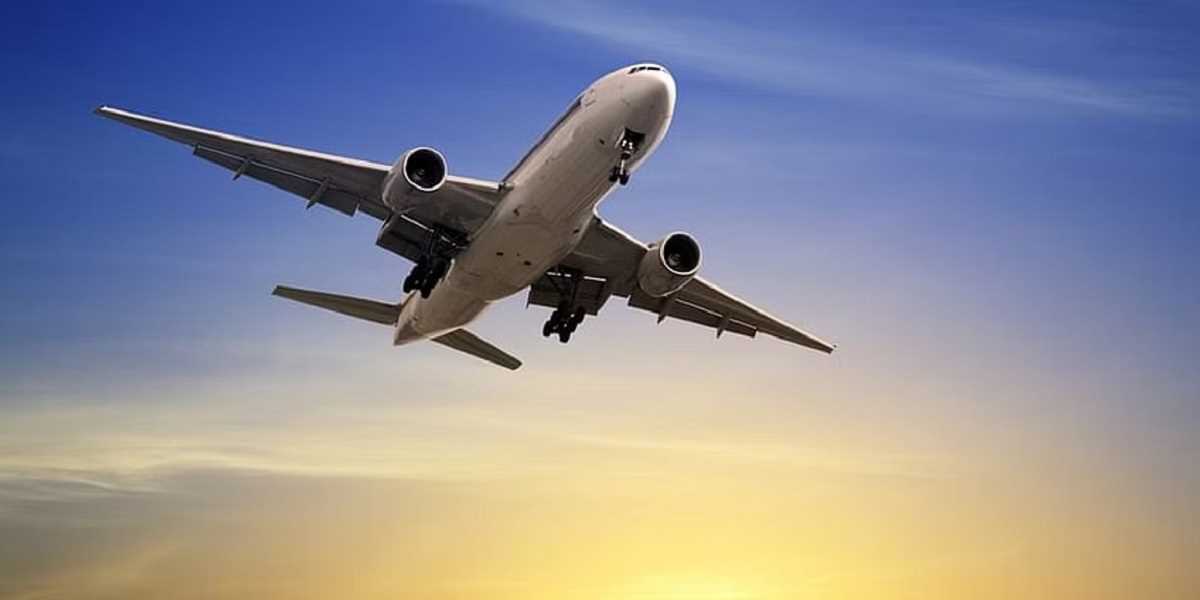 इस साल बढ़ी हवाई यात्रियों की संख्या, घरेलू यात्री ट्रैफिक बढ़कर 38.27 प्रतिशत हुआ : मंत्रालय