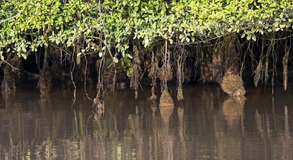 सुलु वंशजों के साथ जमीनी विवाद में उलझा मलेशिया