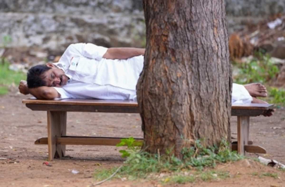 भारत जोड़ो यात्रा : कांग्रेस नेता वेणुगोपाल की बेंच में सोते तस्वीर वायरल, राहुल गांधी भी चर्चा का विषय