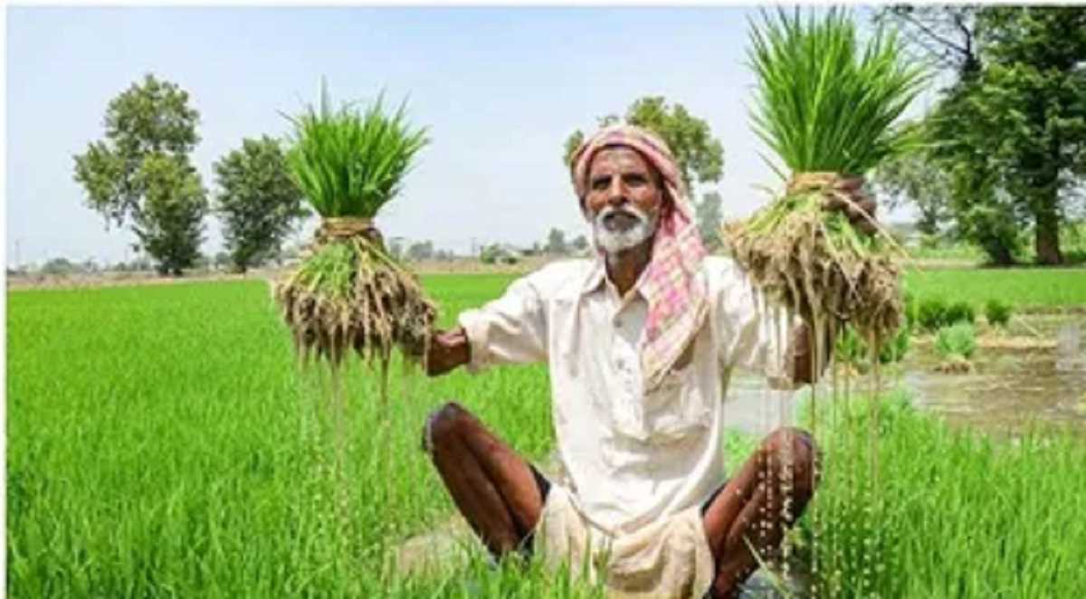 किसानों की समस्याओं के निराकरण के लिए कॉल सेंटर कम हेल्प डेस्क की होगी स्थापना किसानों की समस्याओं के निराकरण के लिए कॉल सेंटर कम हेल्प डेस्क की होगी स्थापना