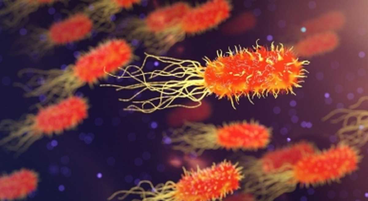 2019 में पांच बैक्टीरिया के कारण भारत में हुईं 6.8 लाख मौतें : लैंसेट