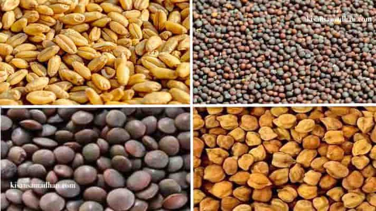 उर्वरकों की कालाबाजारी पर रोक लगाने व गेहूं, चना, सरसों बीज वितरण में लाए तेजी