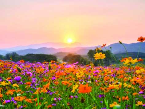 वसंत को ये क्या क्या होने लगा?