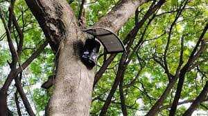 दक्षिण-पूर्व एशिया में हो रही है डिजिटल फार्मिंग क्रांति