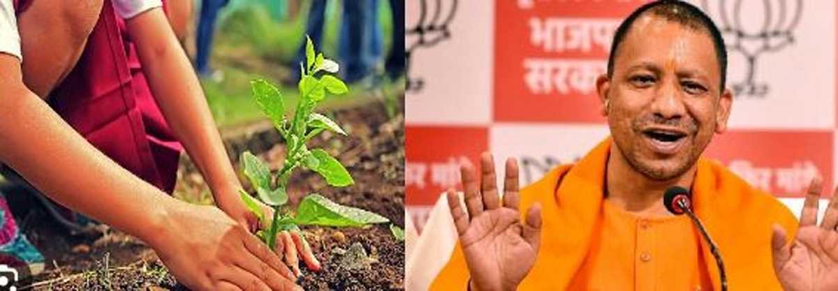 उत्तर प्रदेश में 20 जुलाई से 30 सितंबर के बीच 36.80 करोड़ से अधिक पौधरोपण