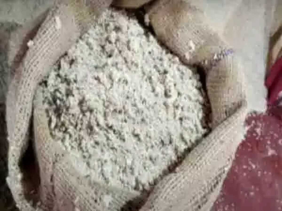 गोवा : राशन में मिले कीड़ों, घुन, फंगस वाले चावल