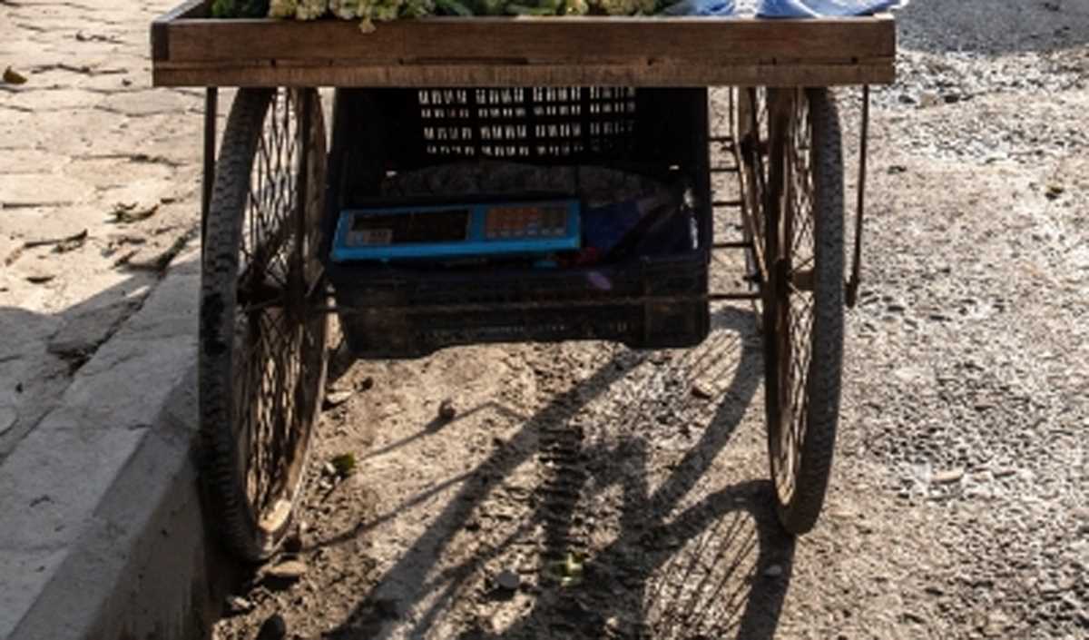 बिहार के नालंदा में सब्जी के ठेले पर गर्भवती पत्नी को अस्पताल लेकर गया शख्स