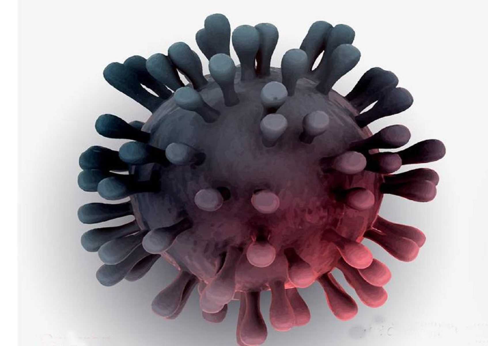 कोरोना अपडेट: कोरोना अपडेट: देश में 82 नए मामले आए सामने, 1837 पर पहुंचा सक्रिय मामलों का आंकड़ा