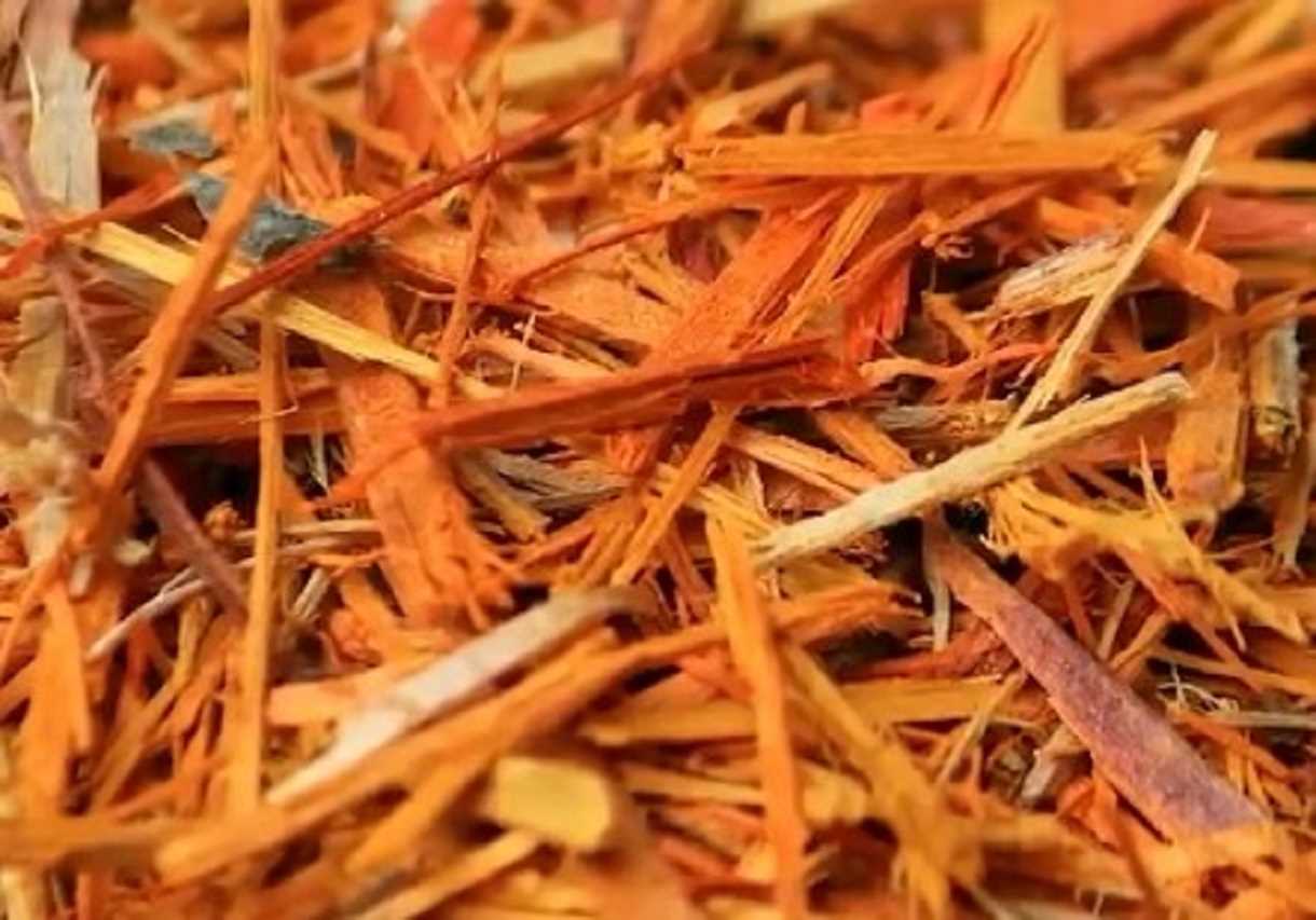 महिलाओं की खास सहेली है ‘साप्पन की लकड़ी’, एक-दो नहीं कई मर्ज की दवा