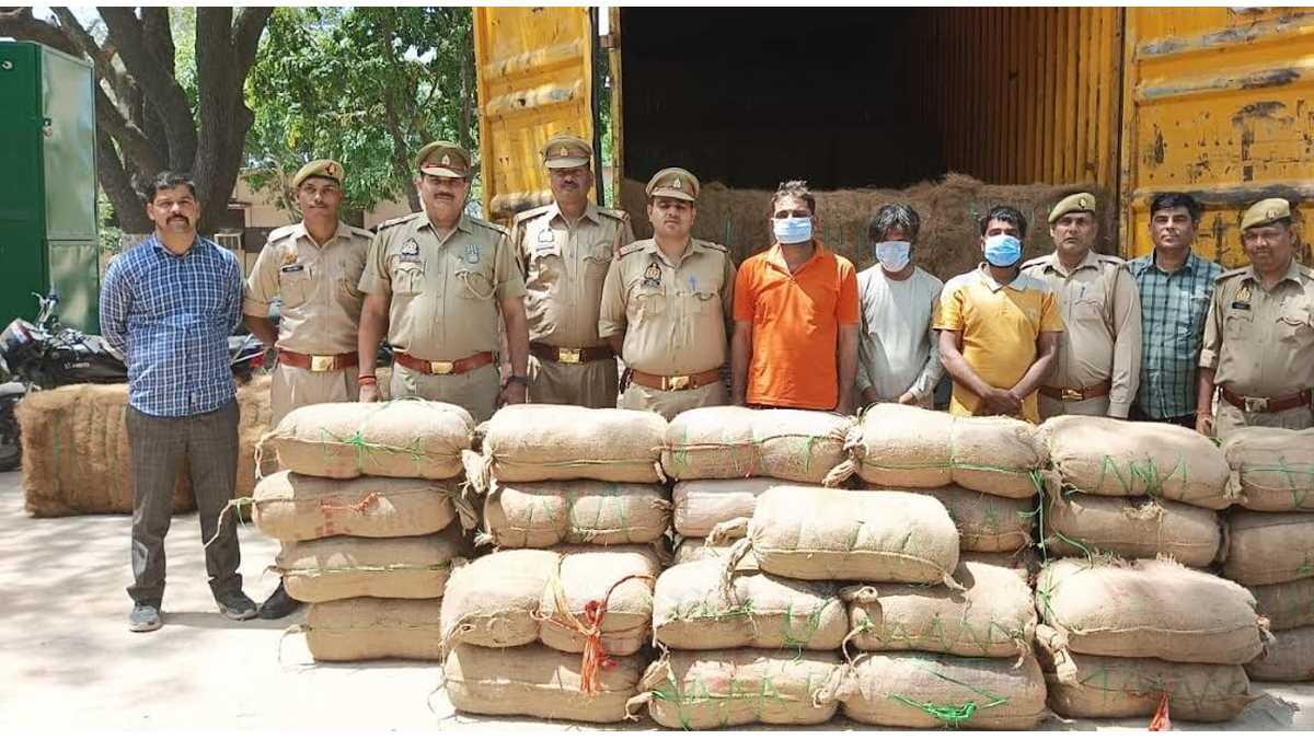 पुलिस ने अब तक सबसे बड़े अवैध गांजा खैप के साथ तीन अभियुक्त गिरफ्तार