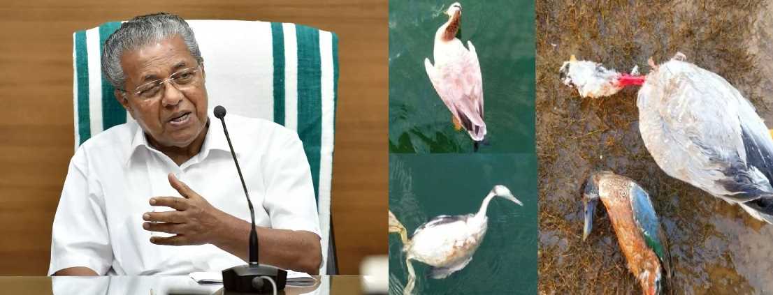 बतख पालने वाले किसानों के मुआवजे केरल सरकार ने दी मंजूरी