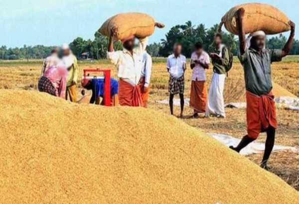 रायपुर : जिले में अंतिम दिन तक 1 लाख 22 हजार 274 किसानों ने बेचा पांच लाख टन धान