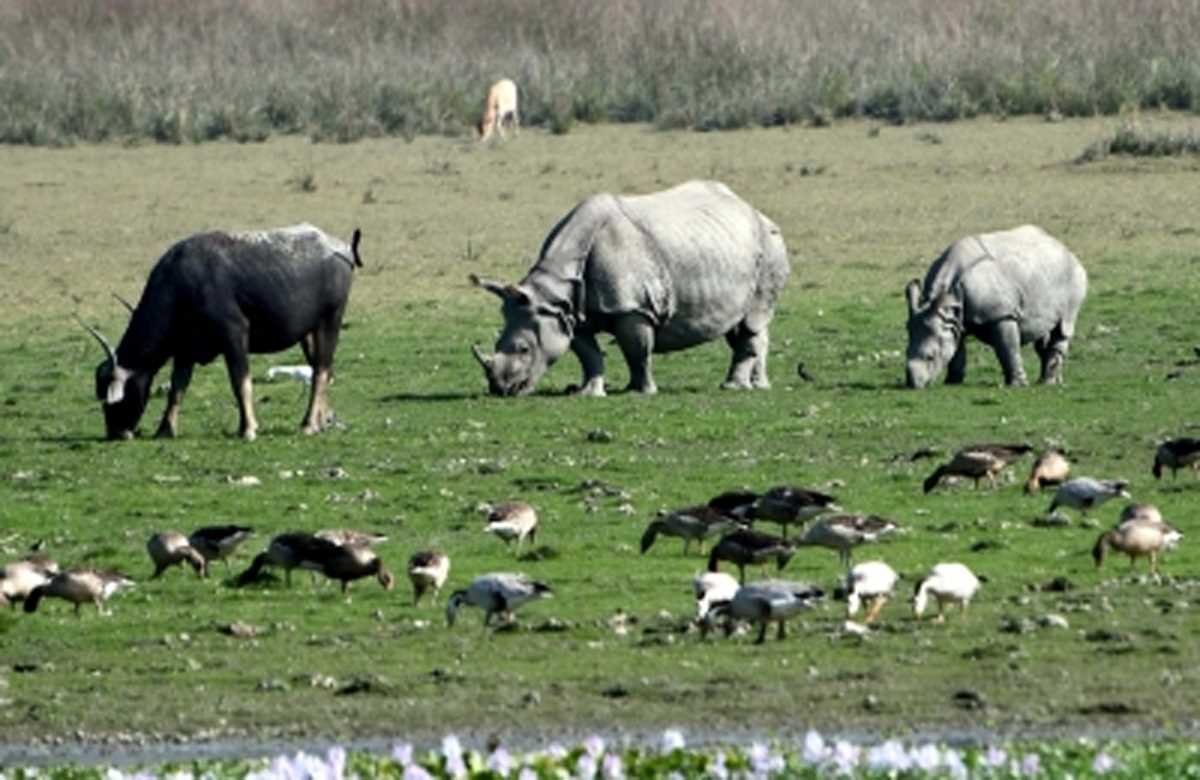 मुंबई को मिले 18 नए वन्यजीव अभयारण्य, 7 प्रस्तावित अभयारण्य