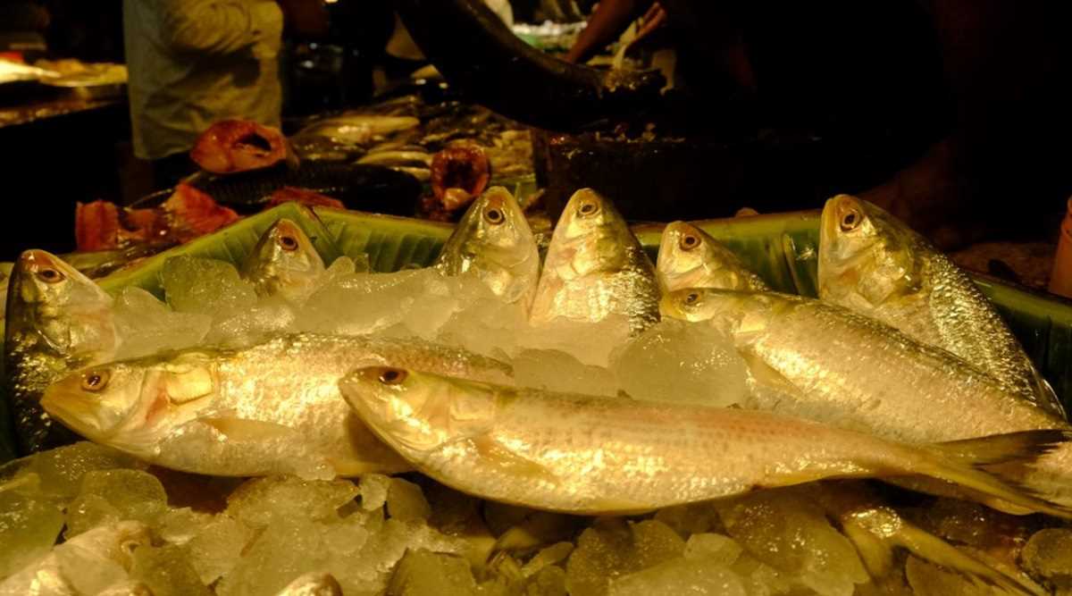 नया सेंसर आसानी से बताएगा मछली में मिलावट है या नहीं