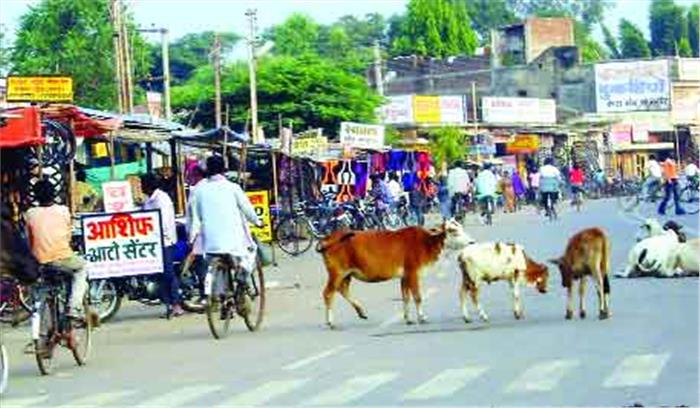 बेजा-कब्जा हटाने का अभियान ठण्डे बस्ते में बेजा-कब्जा हटाने का अभियान ठण्डे बस्ते में