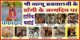 बैतूल में कुत्ते के जन्मदिन पर लगे होर्डिग