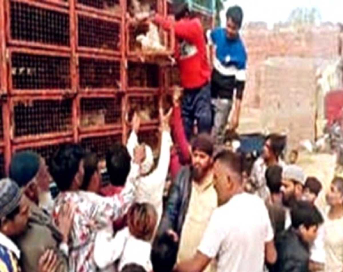 यूपी चुनाव के उम्मीदवार ने मुफ्त में बांटा चिकन