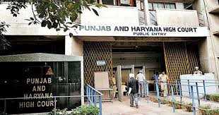 लिव-इन जोड़ों के जीवन और स्वतंत्रता की रक्षा की जानी चाहिए: हाईकोर्ट