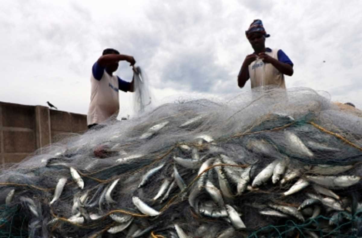 ट्रॉलिंग नेट का उपयोग करने वाले मछुआरों पर तमिलनाडु सरकार की छापेमारी जारी