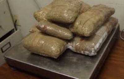 कुल्लू में 111 किलोग्राम चरस जब्त