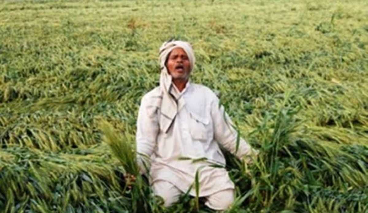 हाडोती संभाग में हो रही बरसात ने किसानों की चिंता ओर बढाई