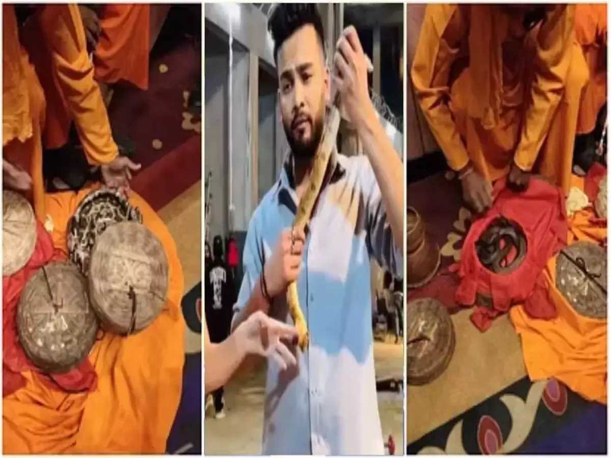 सांप तस्करी व रेव पार्टी मामले में पांच आरोपियों से पूछताछ